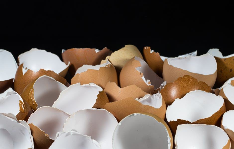 Compostage maison : réussir son composteur facilement