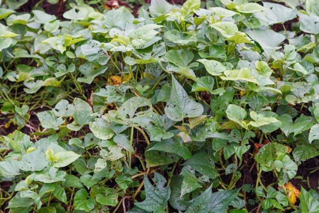 DIY écologique : créer et réparer soi-même pour moins consommer