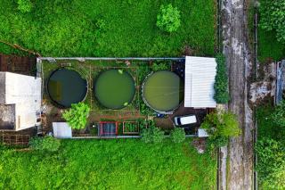 Récupération eau de pluie : citerne, pose et utilisations