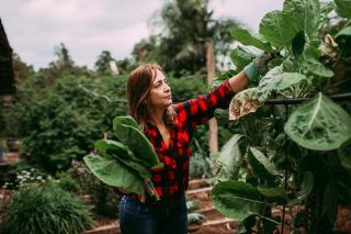 Potager sur balcon et terrasse : jardiner en ville en bacs