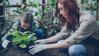Jardinage avec les enfants : initier les petits à la nature
