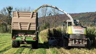 Broyeur végétaux électrique ou thermique pour 500 m² de jardin