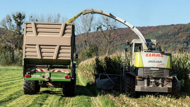 Quel broyeur de végétaux choisir pour un jardin de 500 m² ? Quel broyeur de végétaux choisir pour un jardin de 500 m² ?
