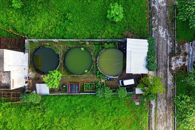Récupérer l'eau de pluie de sa toiture, de la gouttière à l'arrosoir Récupérer l'eau de pluie de sa toiture, de la gouttière à l'arrosoir