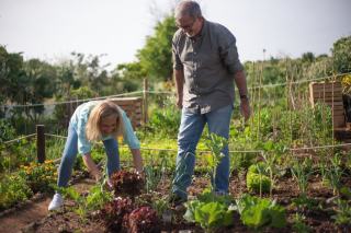 Slow life et hygge : ralentir pour mieux vivre au naturel