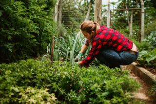 Jardinage écologique : méthodes naturelles pour un jardin sain
