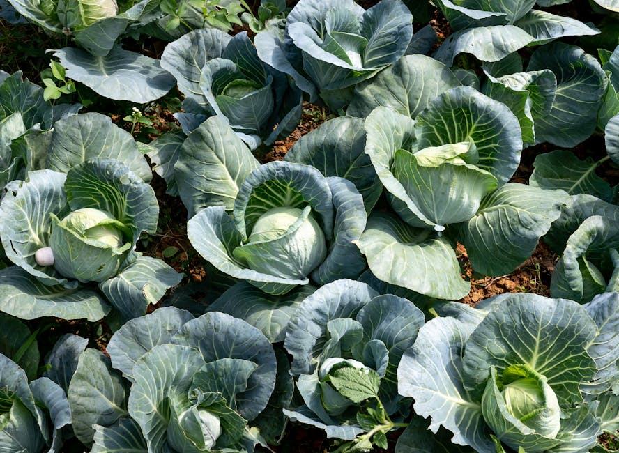Potager bio : guide complet pour jardiner sans pesticides
